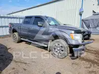 2011 Ford F-150 photo