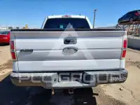 2011 Ford F-150 photo
