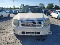 2011 Ford ESCAPE фото