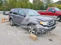 2011 Ford ESCAPE photo