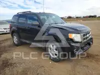 2011 Ford ESCAPE фото