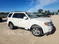2011 Ford ESCAPE photo