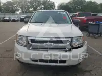 2011 Ford ESCAPE photo