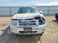 2011 Ford ESCAPE photo