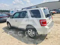2011 Ford ESCAPE photo