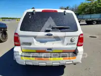 2011 Ford ESCAPE photo