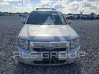 2011 Ford ESCAPE photo
