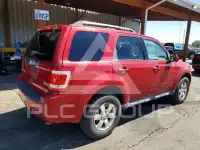 2011 Ford ESCAPE photo