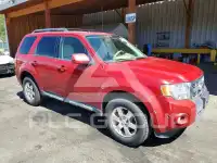 2011 Ford ESCAPE photo