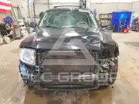 2011 Ford ESCAPE photo