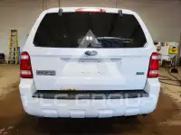 2011 Ford ESCAPE photo
