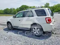 2011 Ford ESCAPE photo