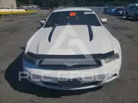 2011 Ford MUSTANG photo