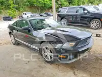 2011 Ford MUSTANG photo