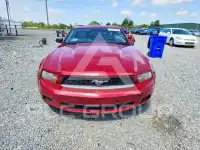 2011 Ford MUSTANG фото