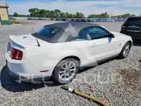 2011 Ford MUSTANG фото