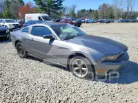 2011 Ford MUSTANG фото