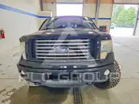 2011 Ford F-150 photo