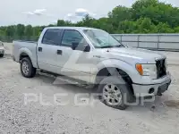 2011 Ford F-150 photo