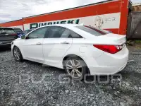 2011 Hyundai Sonata фото