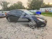 2011 Hyundai Sonata photo