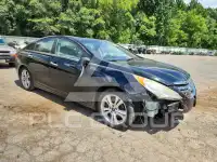 2011 Hyundai Sonata фото