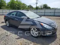 2011 Hyundai Sonata photo