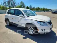 2011 Volkswagen Tiguan фото