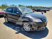 2011 Volkswagen Tiguan фото
