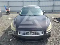 2012 Nissan MAXIMA фото