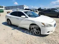 2012 Nissan MAXIMA фото