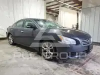 2012 Nissan MAXIMA фото