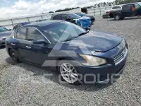 2012 Nissan MAXIMA фото