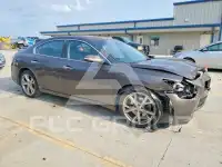 2012 Nissan MAXIMA photo
