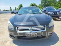 2012 Nissan MAXIMA фото