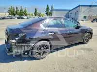 2012 Nissan MAXIMA photo