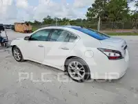2012 Nissan MAXIMA фото