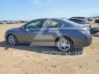 2012 Nissan MAXIMA photo
