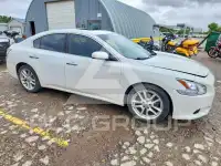 2012 Nissan MAXIMA фото