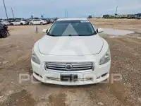 2012 Nissan MAXIMA photo