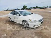 2012 Nissan MAXIMA photo