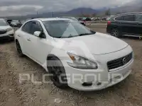 2012 Nissan MAXIMA photo