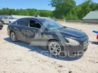 2012 Nissan MAXIMA photo