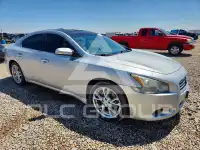 2012 Nissan MAXIMA photo