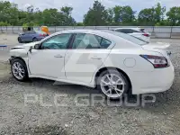 2012 Nissan MAXIMA фото