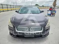 2012 Nissan MAXIMA фото