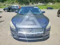 2012 Nissan MAXIMA photo