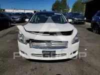 2012 Nissan MAXIMA photo