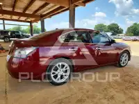 2012 Nissan MAXIMA photo