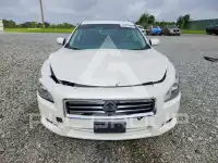 2012 Nissan MAXIMA фото